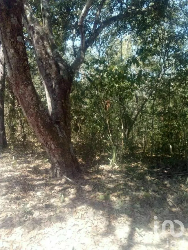 Terreno en Venta en Tomatlan, Tomatlán, Jalisco | NEX-276575 | iad México | Foto 10 de 30