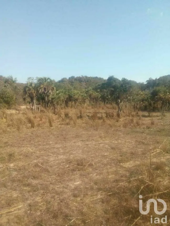 Terreno en Venta en Tomatlan, Tomatlán, Jalisco | NEX-276575 | iad México | Foto 1 de 30