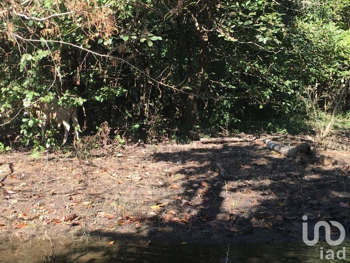 Terreno en Venta en Tomatlan, Tomatlán, Jalisco | NEX-276581 | iad México | Foto 20 de 26