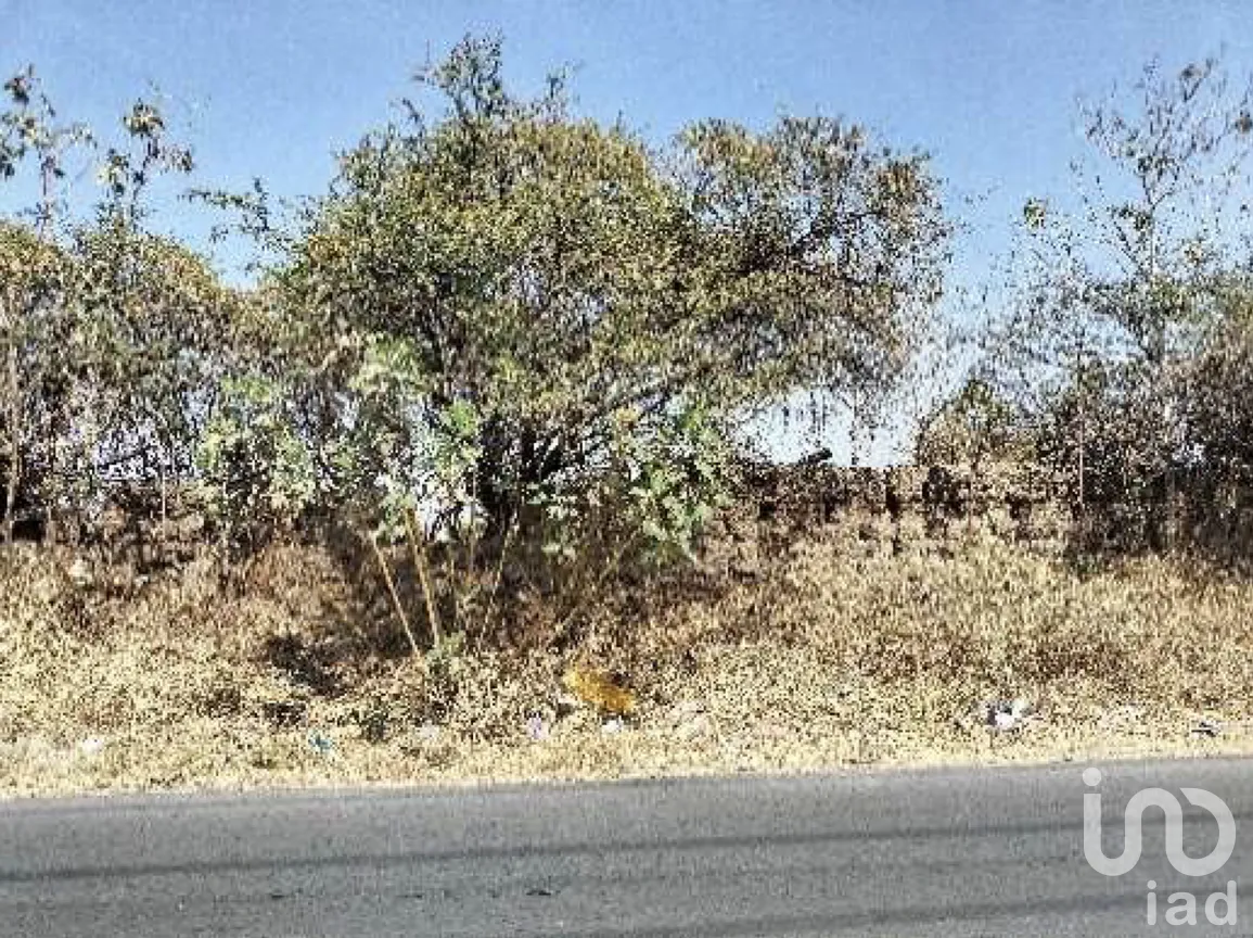 Terreno en Venta en Santa Anita, Tlajomulco de Zúñiga, Jalisco | NEX-276592 | iad México | Foto 14 de 17