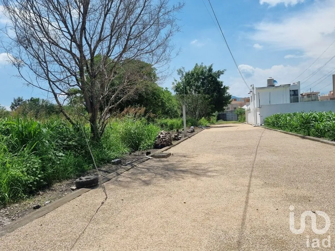 Terreno en Venta en Ixtlahuacan, Yautepec, Morelos | NEX-229008 | iad México | Foto 8 de 15