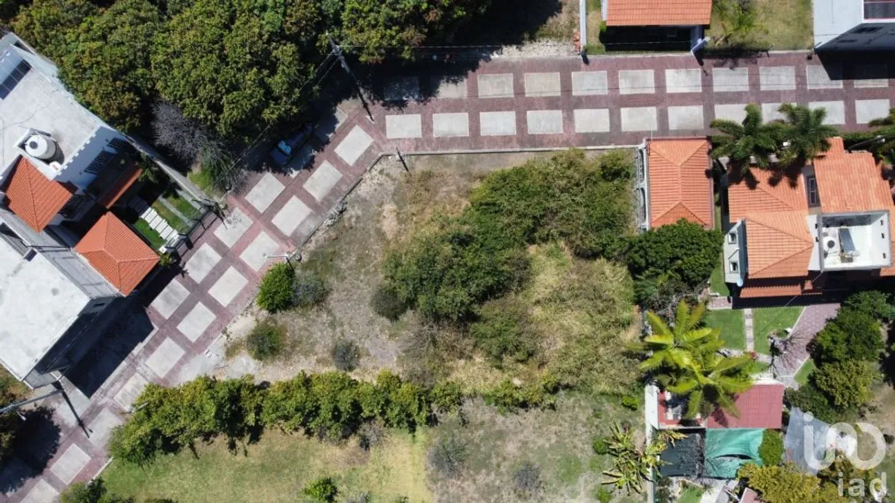 Terreno en Venta en Ixtlahuacan, Yautepec, Morelos | NEX-229008 | iad México | Foto 9 de 15