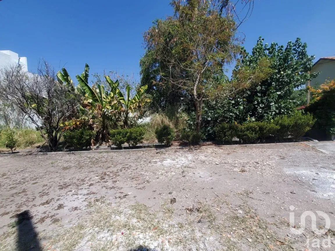 Terreno en Venta en Ixtlahuacan, Yautepec, Morelos | NEX-268189 | iad México | Foto 12 de 15