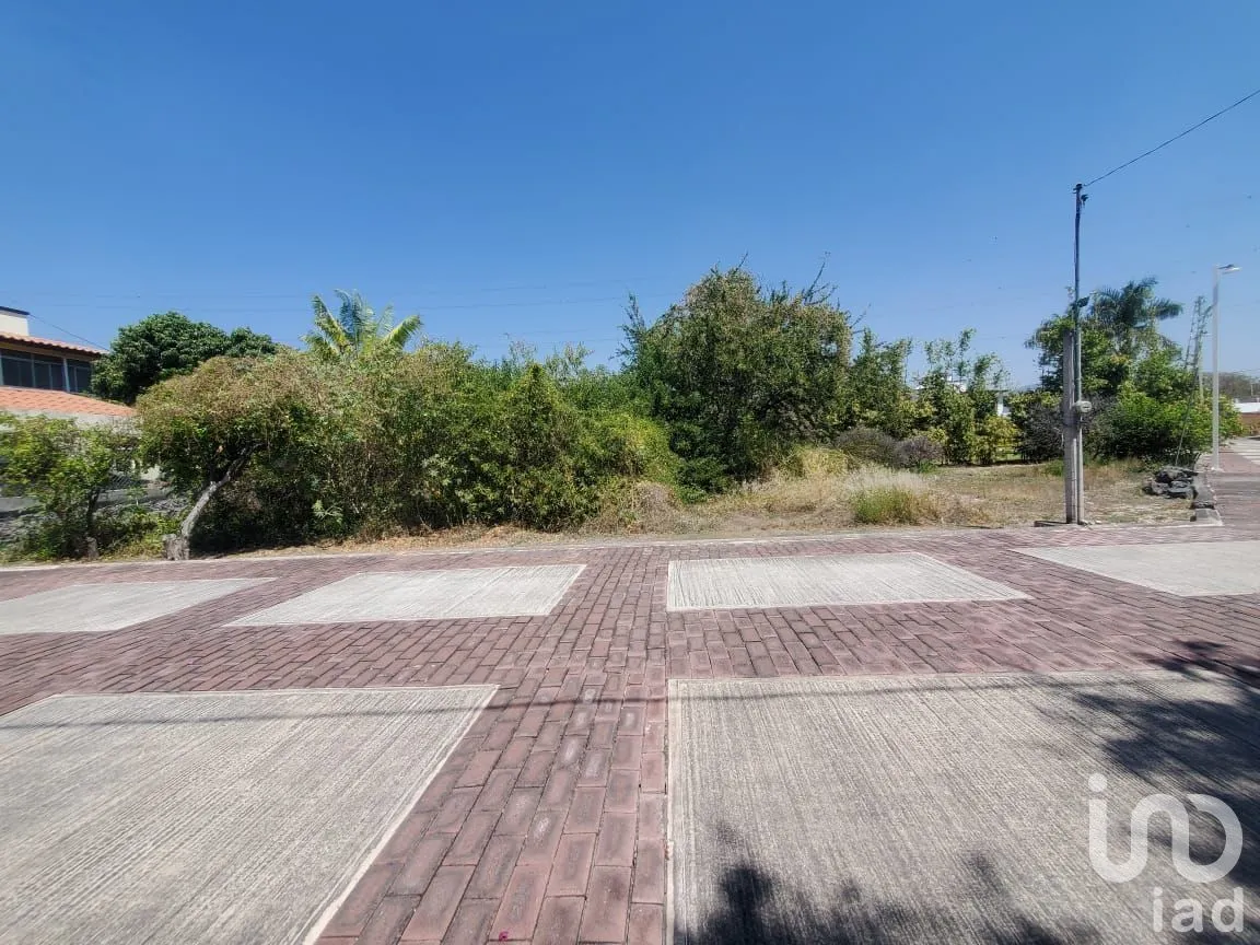 Terreno en Venta en Ixtlahuacan, Yautepec, Morelos | NEX-268189 | iad México | Foto 5 de 15