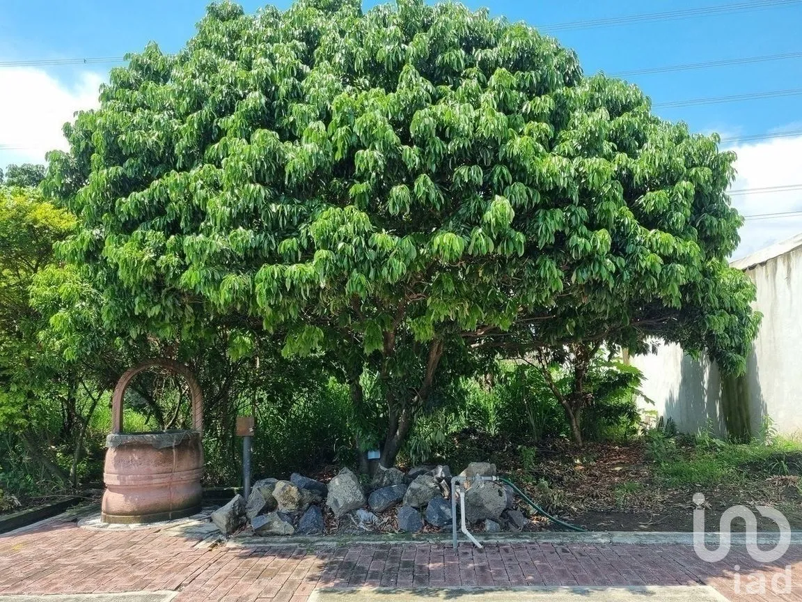 Terreno en Venta en Ixtlahuacan, Yautepec, Morelos | NEX-268189 | iad México | Foto 6 de 15