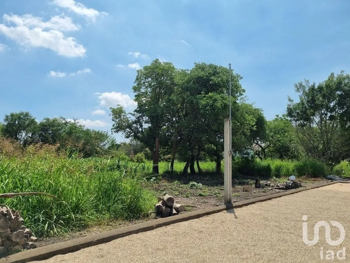 Terreno en Venta en Ixtlahuacan, Yautepec, Morelos | NEX-268189 | iad México | Foto 7 de 15