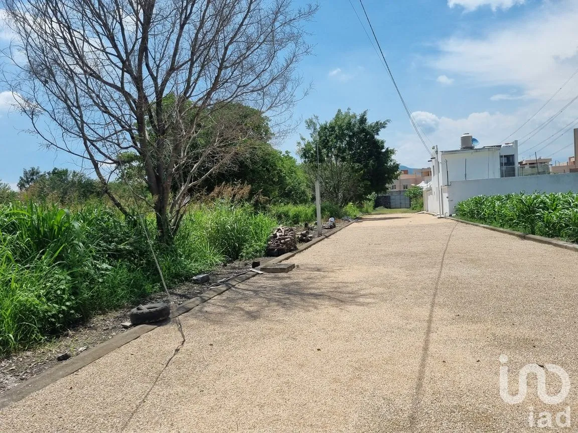 Terreno en Venta en Ixtlahuacan, Yautepec, Morelos | NEX-268189 | iad México | Foto 8 de 15