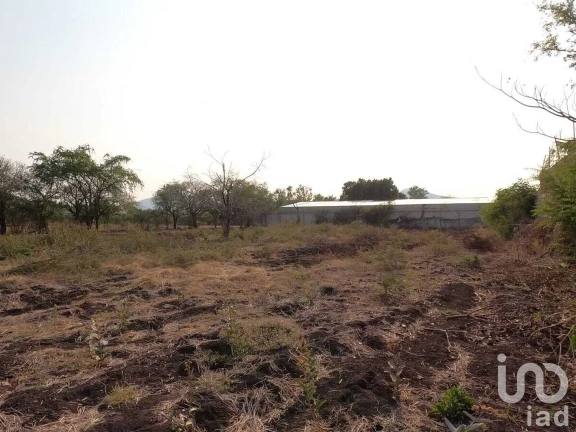 Terreno en Venta en Jovito Serrano, Yautepec, Morelos | NEX-268850 | iad México | Foto 2 de 6