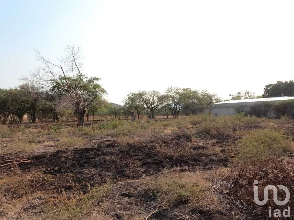 Terreno en Venta en Jovito Serrano, Yautepec, Morelos | NEX-268850 | iad México | Foto 4 de 6