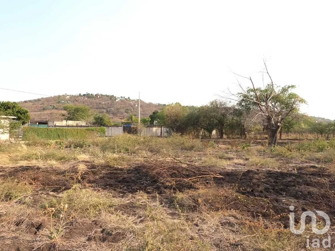 Terreno en Venta en Jovito Serrano, Yautepec, Morelos | NEX-268850 | iad México | Foto 5 de 6
