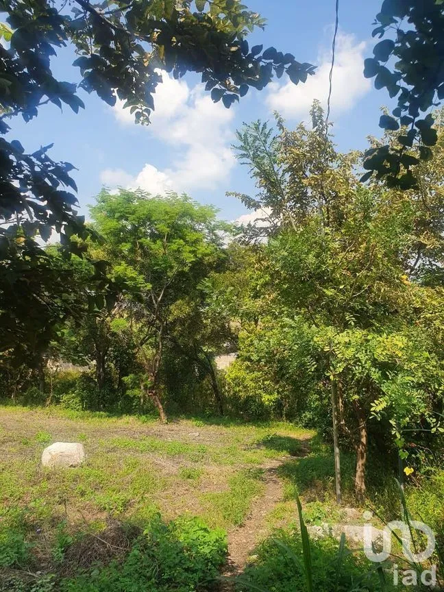 Terreno en Venta en Jovito Serrano, Yautepec, Morelos | NEX-269461 | iad México | Foto 3 de 8