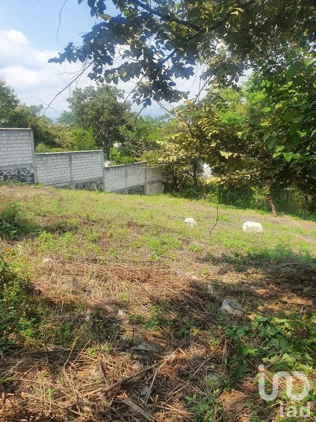 Terreno en Venta en Jovito Serrano, Yautepec, Morelos | NEX-269461 | iad México | Foto 5 de 8
