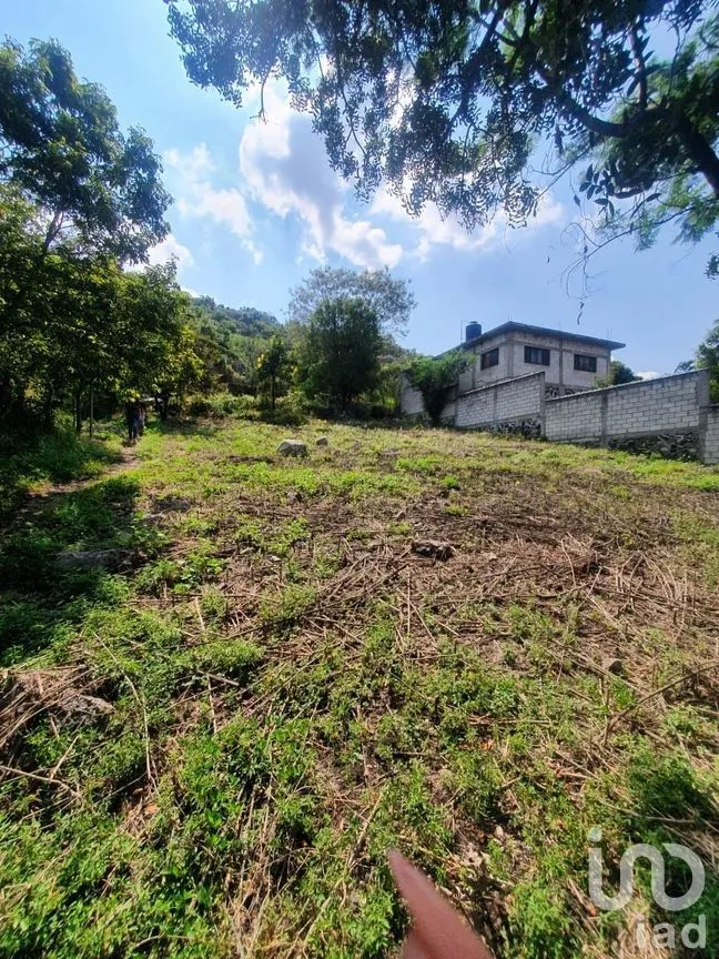 Terreno en Venta en Jovito Serrano, Yautepec, Morelos | NEX-269461 | iad México | Foto 6 de 8