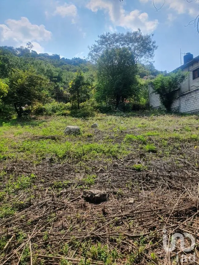 Terreno en Venta en Jovito Serrano, Yautepec, Morelos | NEX-269461 | iad México | Foto 8 de 8