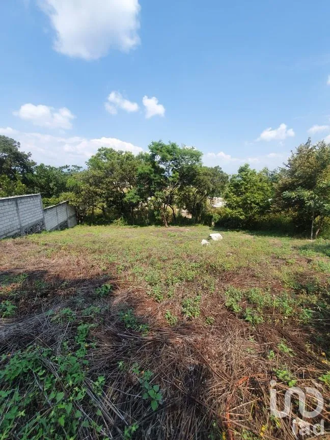 Terreno en Venta en Jovito Serrano, Yautepec, Morelos | NEX-269461 | iad México | Foto 1 de 8