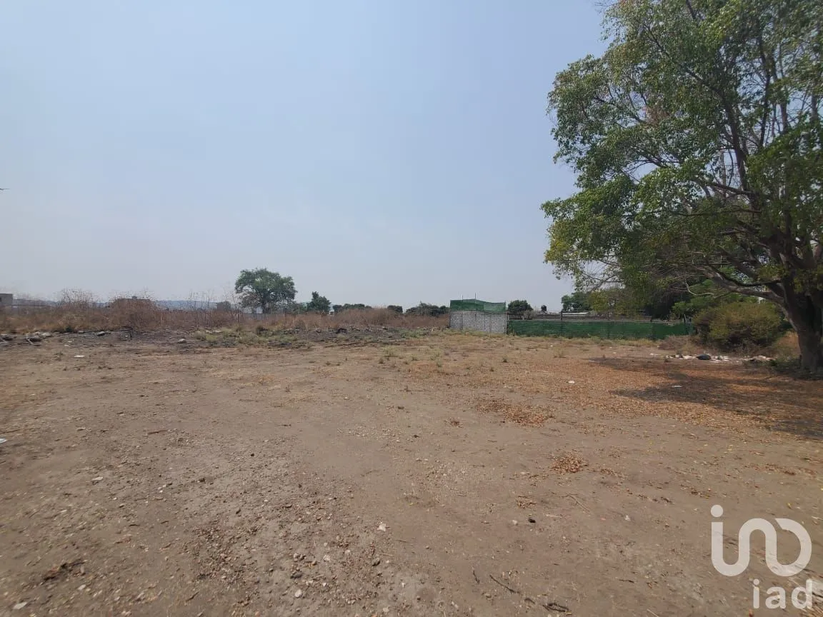 Terreno en Venta en Tabachines, Yautepec, Morelos | NEX-271699 | iad México | Foto 3 de 6