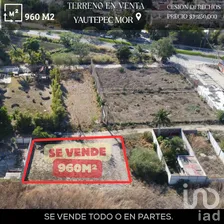 NEX-271699 - Terreno en Venta en Tabachines, CP 62732, Morelos.