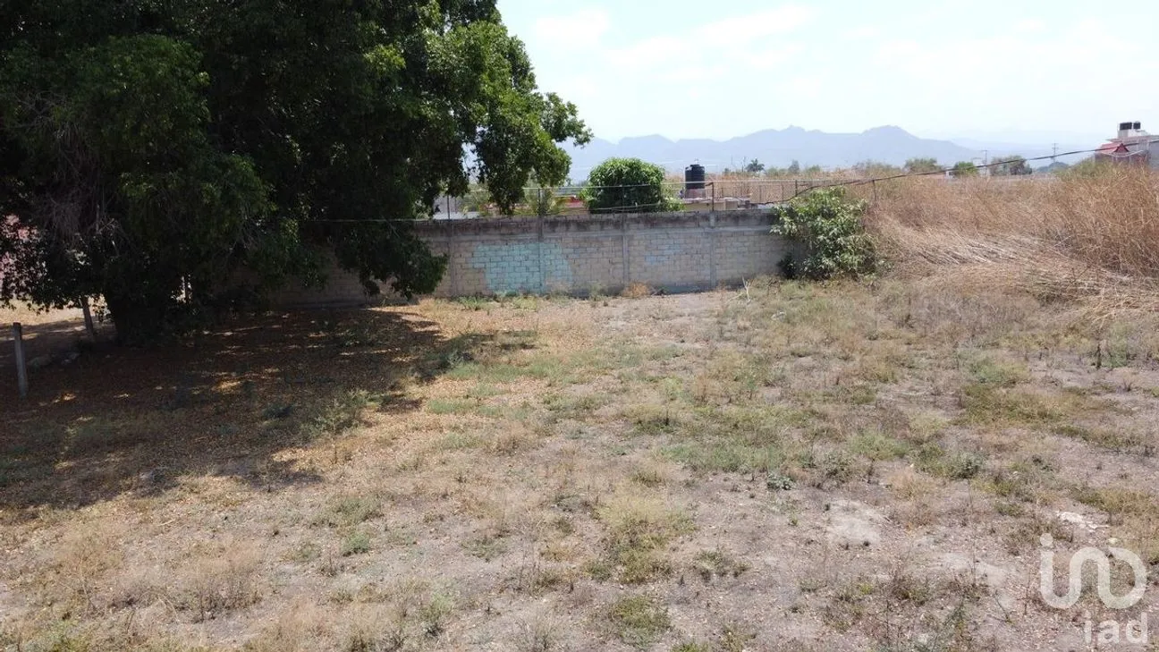 Terreno en Venta en Tabachines, Yautepec, Morelos | NEX-276959 | iad México | Foto 3 de 6