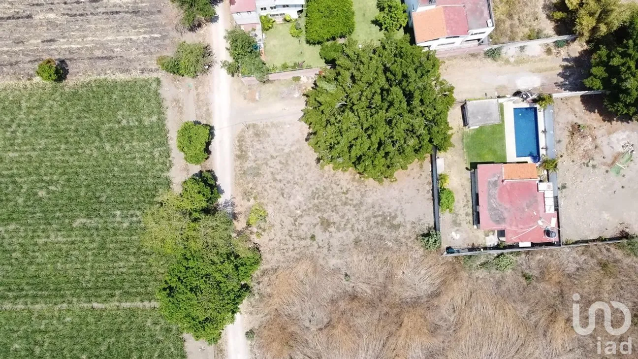 Terreno en Venta en Tabachines, Yautepec, Morelos | NEX-276959 | iad México | Foto 4 de 6