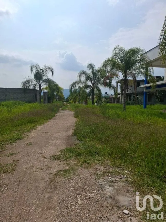 Terreno en Venta en Ixtlahuacan, Yautepec, Morelos | NEX-277043 | iad México | Foto 2 de 10