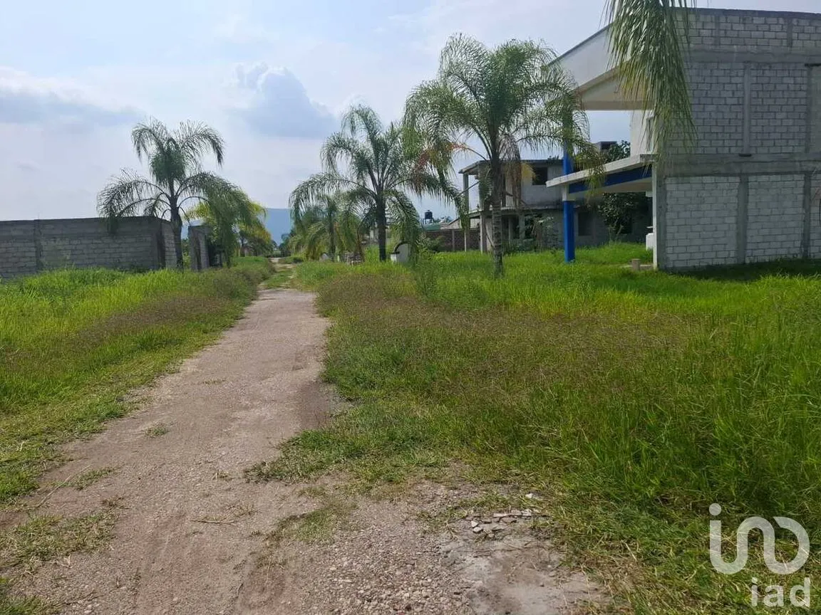 Terreno en Venta en Ixtlahuacan, Yautepec, Morelos | NEX-277043 | iad México | Foto 6 de 10