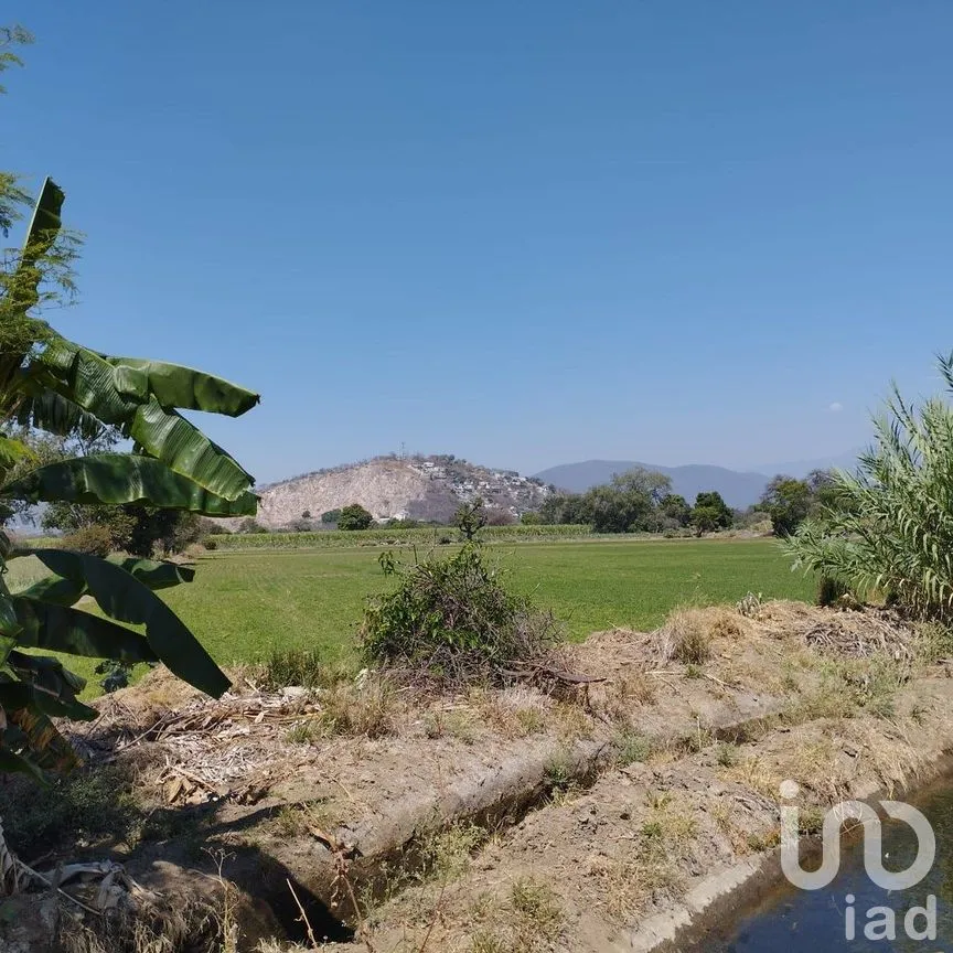 Terreno en Venta en San Juan, Yautepec, Morelos | NEX-292317 | iad México | Foto 2 de 7