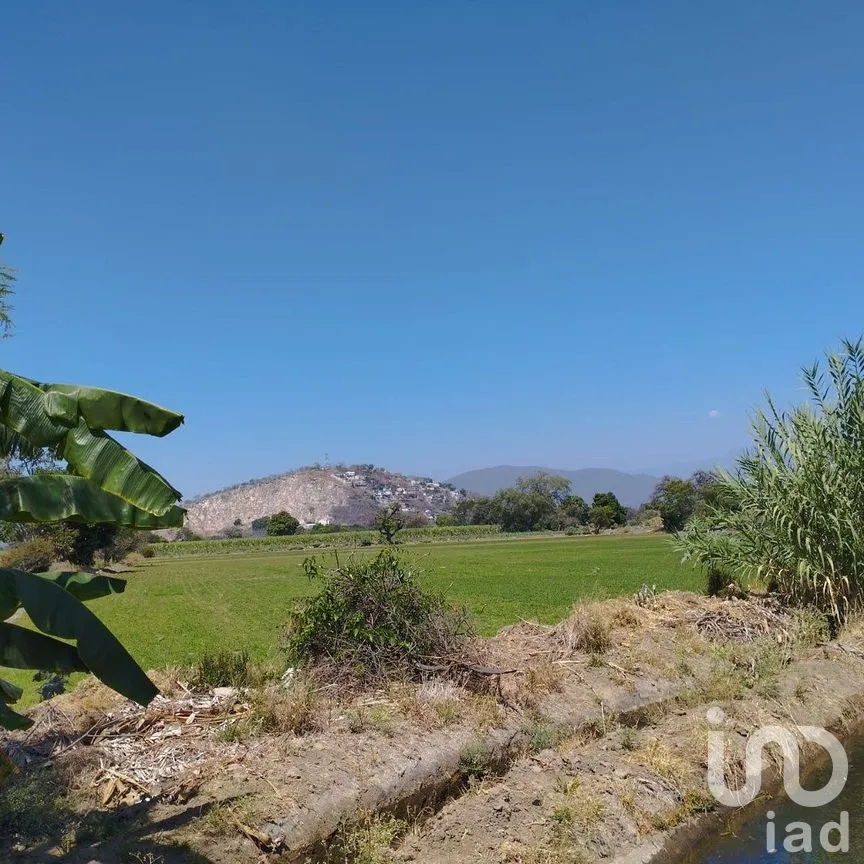 Terreno en Venta en San Juan, Yautepec, Morelos | NEX-292317 | iad México | Foto 4 de 7