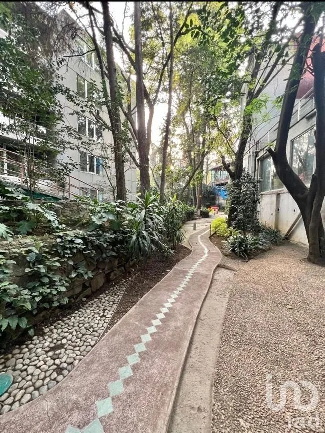 Departamento en Renta en Lomas de Chapultepec, Miguel Hidalgo, Ciudad de México | NEX-229093 | iad México | Foto 27 de 30