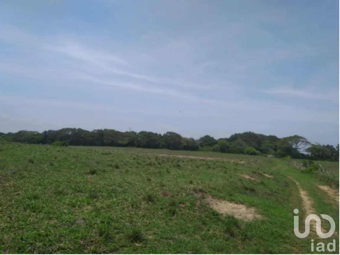 Terreno en Venta en 17 de Octubre, Tuxpan, Veracruz | NEX-267305 | iad México | Foto 7 de 9