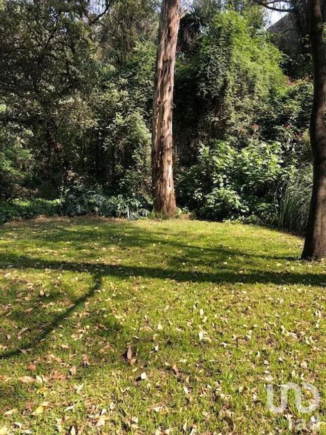Terreno en Venta en Lomas Altas, Miguel Hidalgo, Ciudad de México | NEX-268335 | iad México | Foto 11 de 12