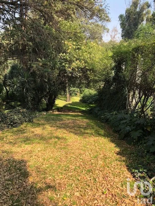 Terreno en Venta en Lomas Altas, Miguel Hidalgo, Ciudad de México | NEX-268335 | iad México | Foto 12 de 12