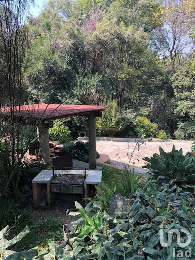 Terreno en Venta en Lomas Altas, Miguel Hidalgo, Ciudad de México | NEX-268335 | iad México | Foto 5 de 12