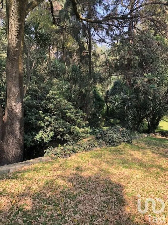 Terreno en Venta en Lomas Altas, Miguel Hidalgo, Ciudad de México | NEX-268335 | iad México | Foto 6 de 12