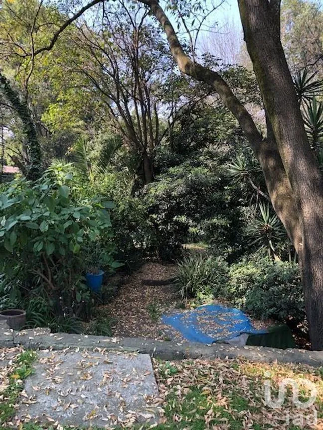 Terreno en Venta en Lomas Altas, Miguel Hidalgo, Ciudad de México | NEX-268335 | iad México | Foto 7 de 12