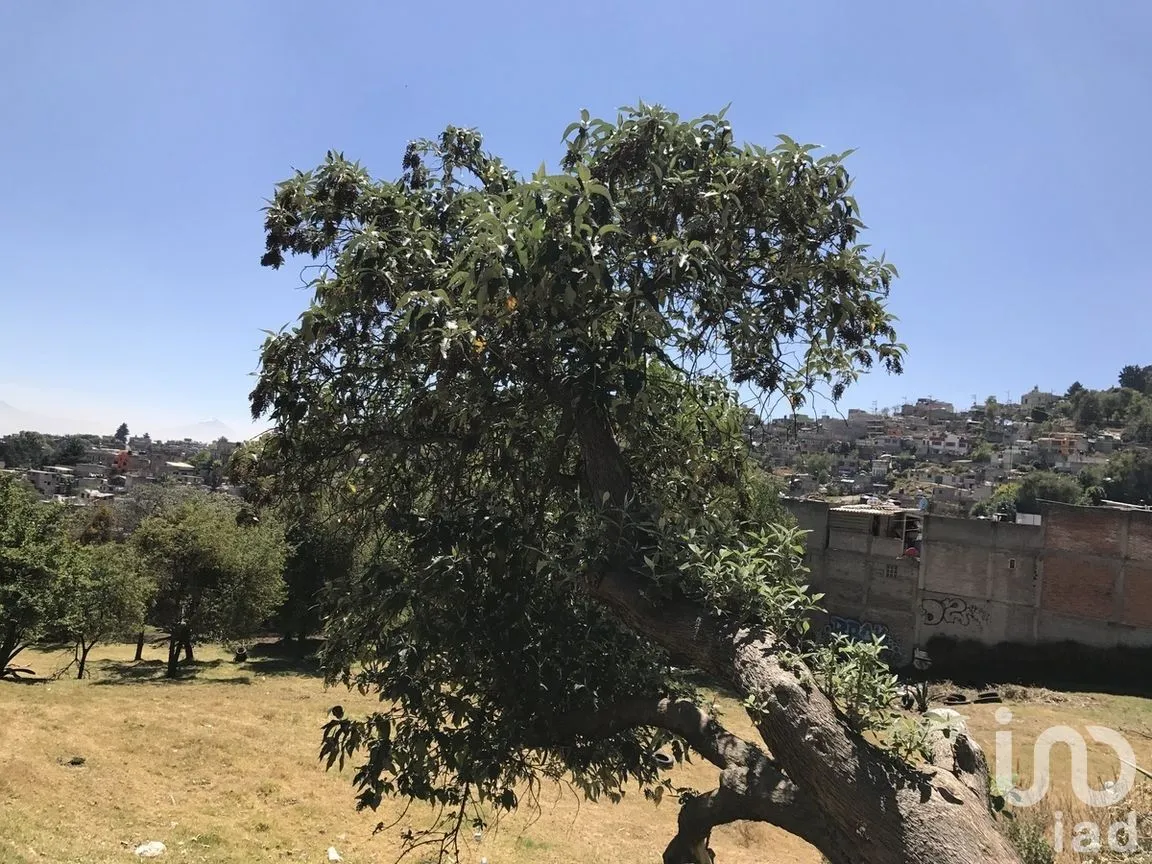 Terreno en Venta en El Ermitaño, La Magdalena Contreras, Ciudad de México | NEX-271076 | iad México | Foto 11 de 14