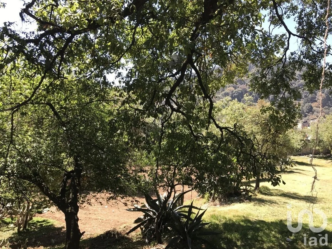 Terreno en Venta en El Ermitaño, La Magdalena Contreras, Ciudad de México | NEX-271076 | iad México | Foto 3 de 14