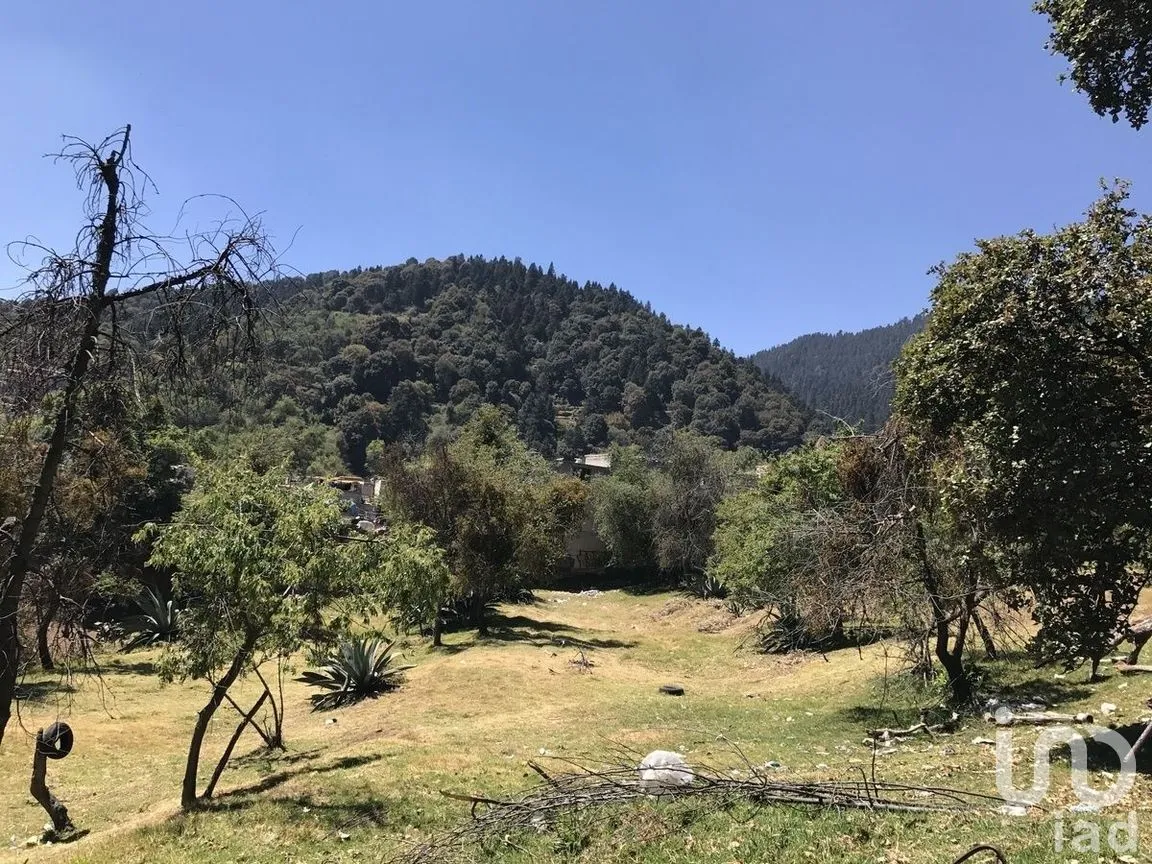 Terreno en Venta en El Ermitaño, La Magdalena Contreras, Ciudad de México | NEX-271076 | iad México | Foto 7 de 14