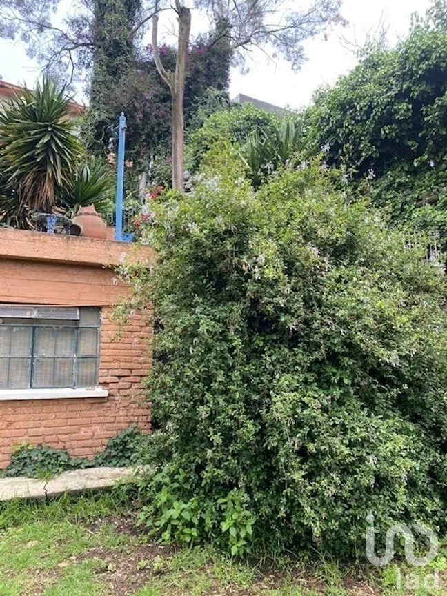 Terreno en Venta en Lomas de Chapultepec I Sección, Miguel Hidalgo, Ciudad de México | NEX-271157 | iad México | Foto 4 de 7