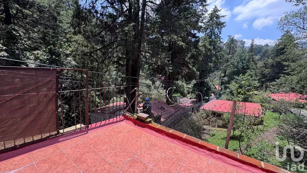 Departamento en Venta en San Bartolo Ameyalco, Álvaro Obregón, Ciudad de México | NEX-272062 | iad México | Foto 10 de 24