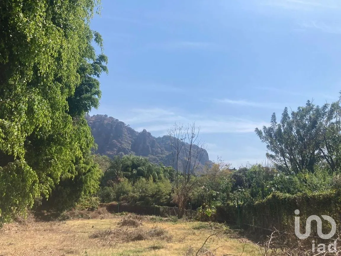 Casa en Venta en Tepoztlán Centro, Tepoztlán, Morelos | NEX-282453 | iad México | Foto 23 de 32