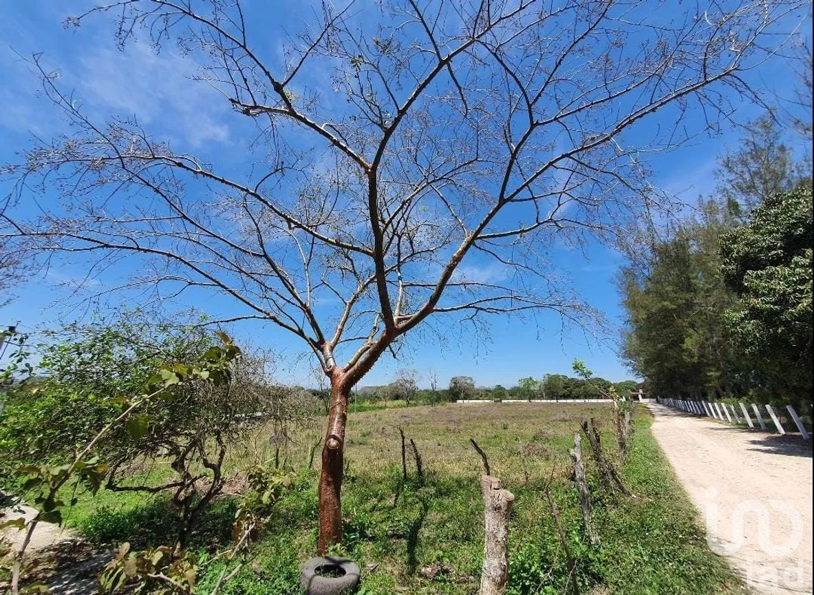 Terreno en Venta en Los Pinos, Emiliano Zapata, Veracruz de Ignacio de la Llave | NEX-146382 | iad México | Foto 11 de 17
