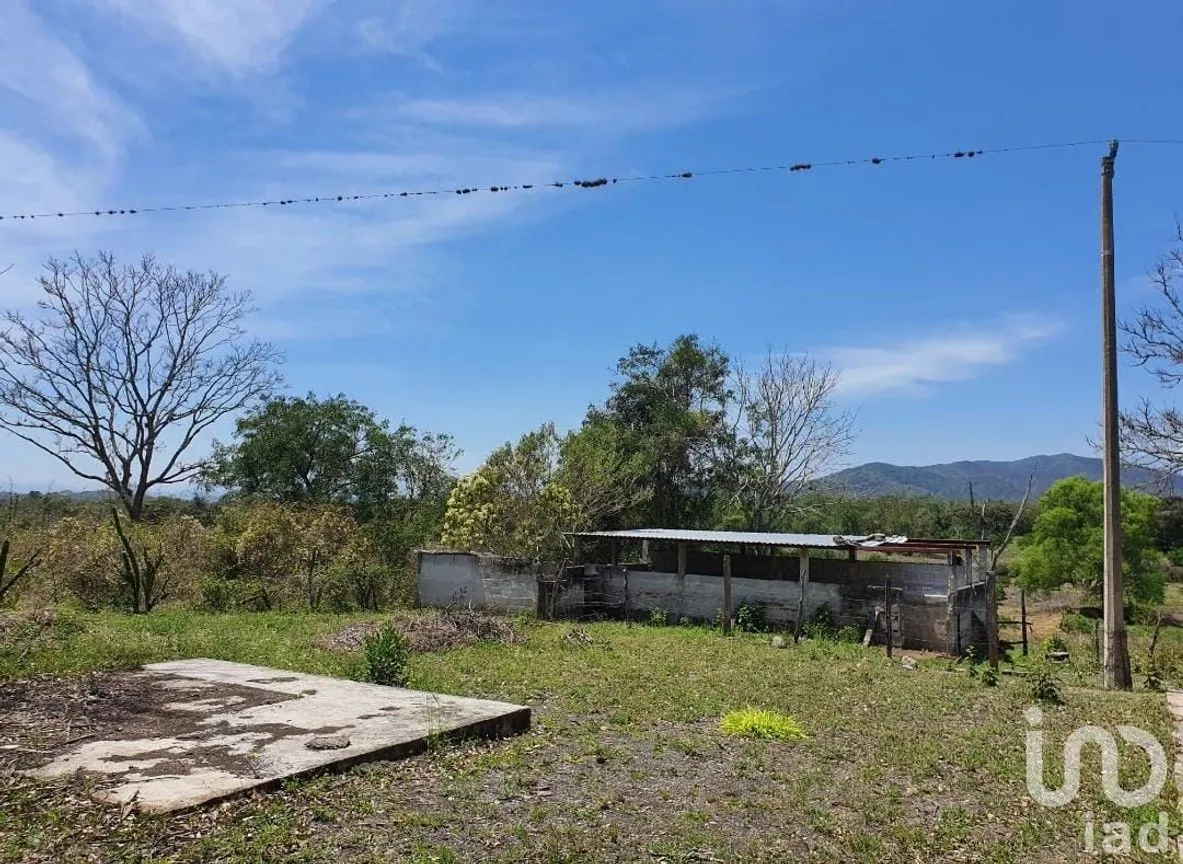 Terreno en Venta en Los Pinos, Emiliano Zapata, Veracruz de Ignacio de la Llave | NEX-146382 | iad México | Foto 13 de 17