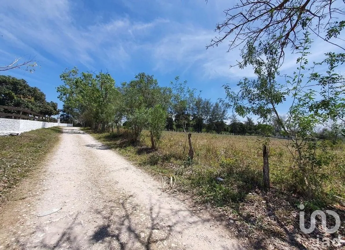 Terreno en Venta en Los Pinos, Emiliano Zapata, Veracruz de Ignacio de la Llave | NEX-146382 | iad México | Foto 14 de 17