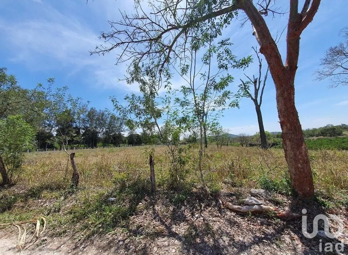 Terreno en Venta en Los Pinos, Emiliano Zapata, Veracruz de Ignacio de la Llave | NEX-146382 | iad México | Foto 16 de 17
