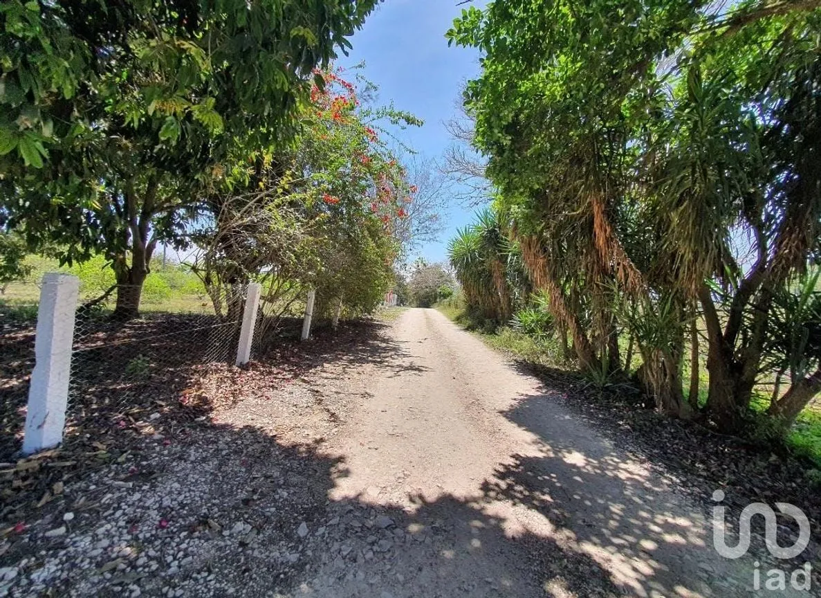Terreno en Venta en Los Pinos, Emiliano Zapata, Veracruz de Ignacio de la Llave | NEX-146382 | iad México | Foto 6 de 17