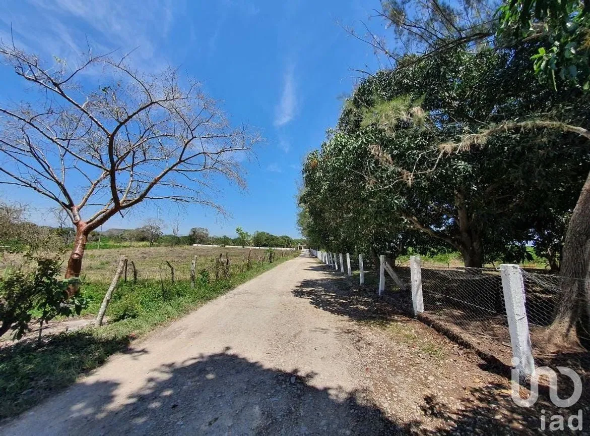 Terreno en Venta en Los Pinos, Emiliano Zapata, Veracruz de Ignacio de la Llave | NEX-146382 | iad México | Foto 8 de 17