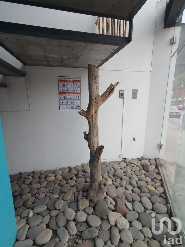 Local en Renta en Inmecafe, Xalapa, Veracruz de Ignacio de la Llave | NEX-149336 | iad México | Foto 2 de 18