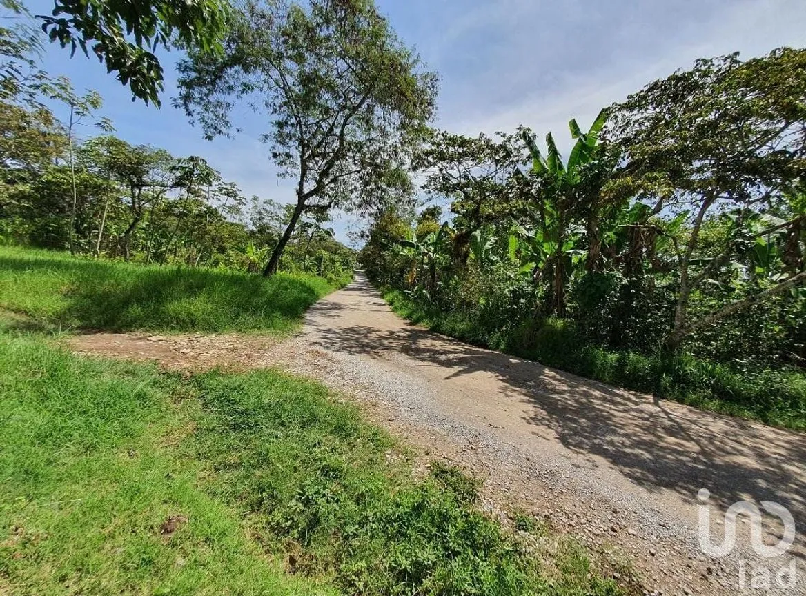Terreno en Venta en San Marcos de León (San Marcos), Xico, Veracruz de Ignacio de la Llave | NEX-151975 | iad México | Foto 3 de 9