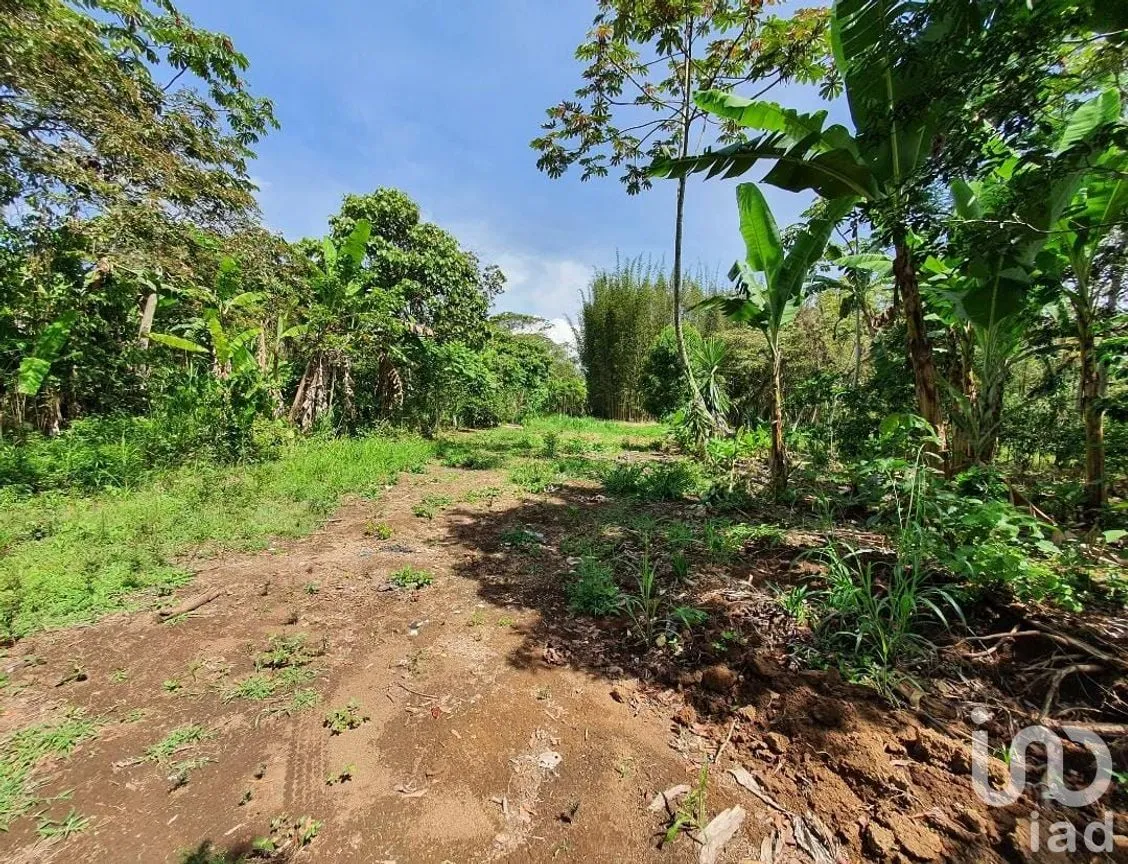 Terreno en Venta en San Marcos de León (San Marcos), Xico, Veracruz de Ignacio de la Llave | NEX-151975 | iad México | Foto 4 de 9