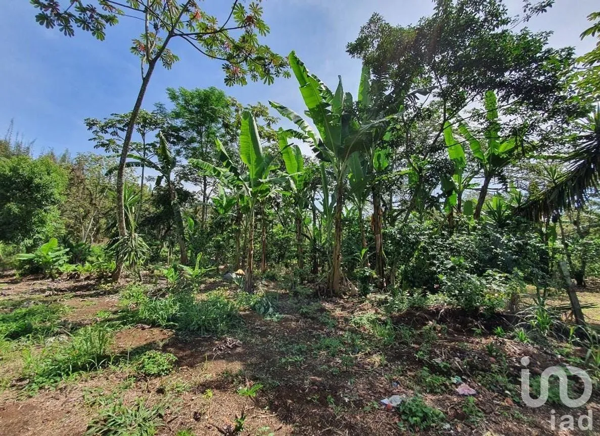 Terreno en Venta en San Marcos de León (San Marcos), Xico, Veracruz de Ignacio de la Llave | NEX-151975 | iad México | Foto 5 de 9
